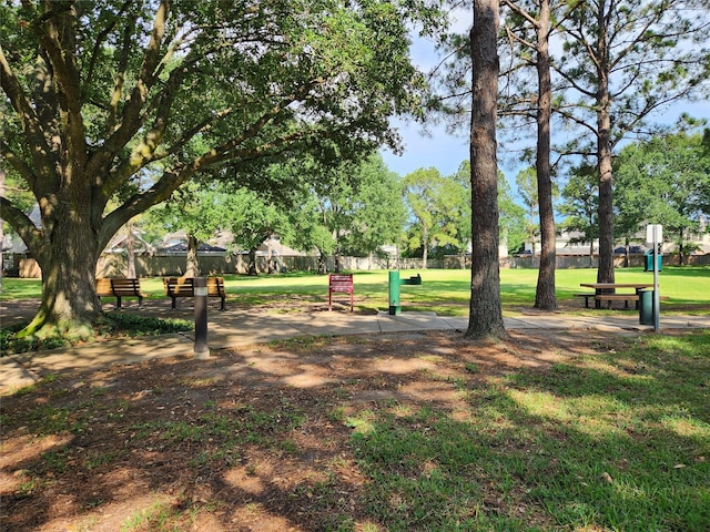 2927 Cambry Crossing Ct, Katy, TX 77494 - view of community with a lawn