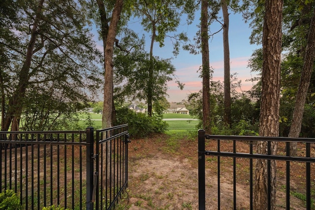 183 Timber Mill St, The Woodlands, TX 77380 - yard at dusk with a gate