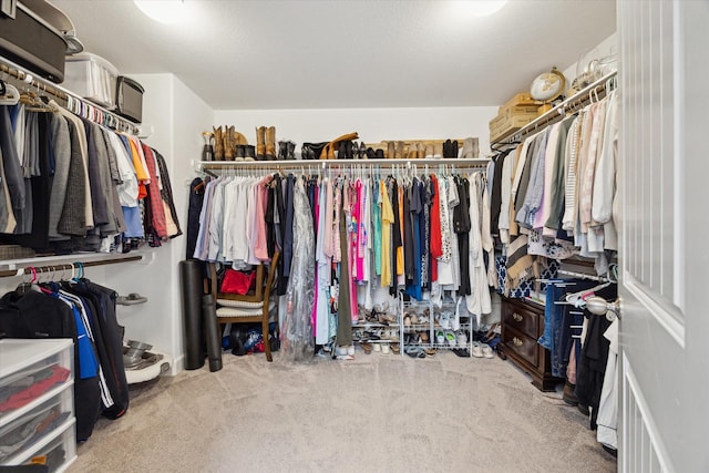 3715 Oakroc Grv, Houston, TX 77018 - walk in closet featuring carpet flooring
