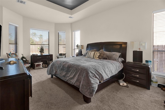 22734 Newcourt Place St, Tomball, TX 77375 - bedroom featuring carpet flooring