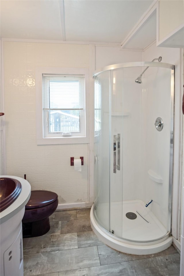 927 W Verdie Dr, Crystal Beach, TX 77650 - full bathroom featuring a shower stall, vanity, and toilet