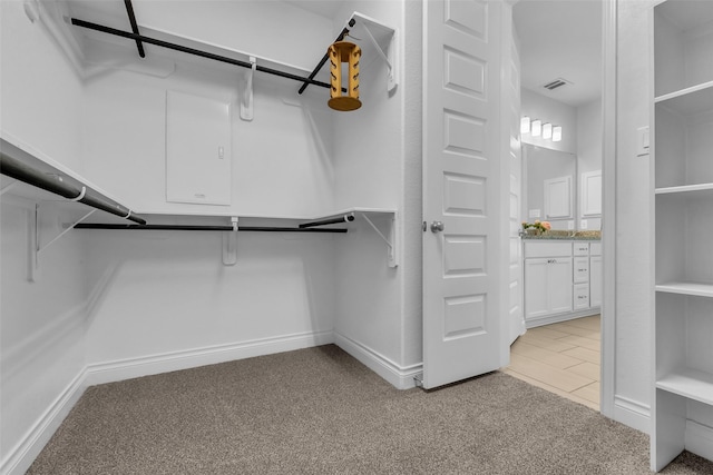 126 Capriccio Ln, Montgomery, TX 77316 - walk in closet featuring light colored carpet