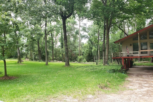 260 Governor Bell Dr, Point Blank, TX 77364 - photo 4