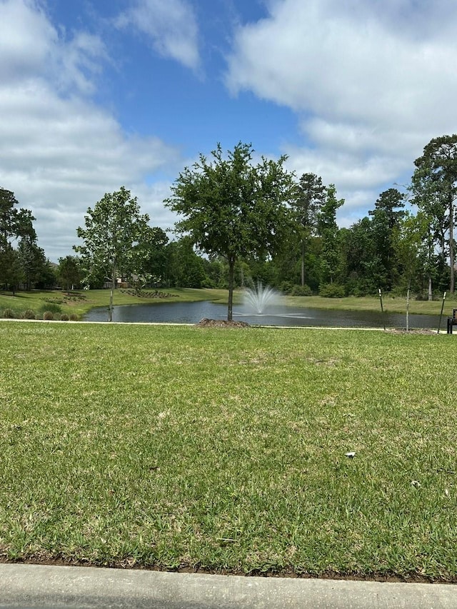19236 Yellow Chestnut Ln, New Caney, TX 77357 - view of green lawn with a water view