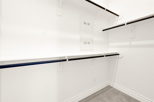 19236 Yellow Chestnut Ln, New Caney, TX 77357 - spacious closet featuring light carpet and electric panel