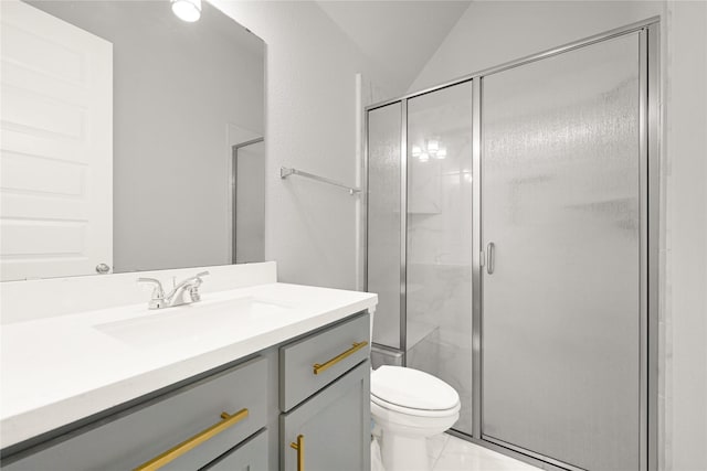 19236 Yellow Chestnut Ln, New Caney, TX 77357 - full bathroom featuring vanity, lofted ceiling, a shower stall, and toilet