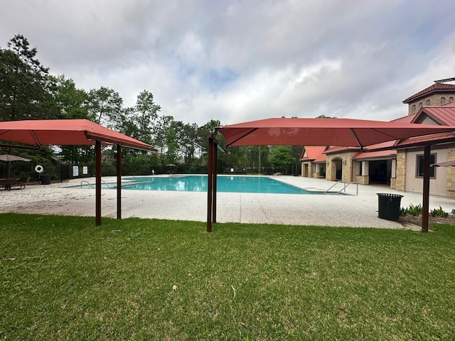 19236 Yellow Chestnut Ln, New Caney, TX 77357 - community pool with a yard and a patio area
