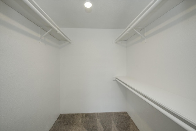 9700 Leawood Blvd Unit 7/16, Houston, TX 77099 - walk in closet featuring carpet