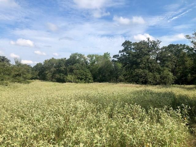 TBD County Road 120, Caldwell, TX 77836 - photo 2