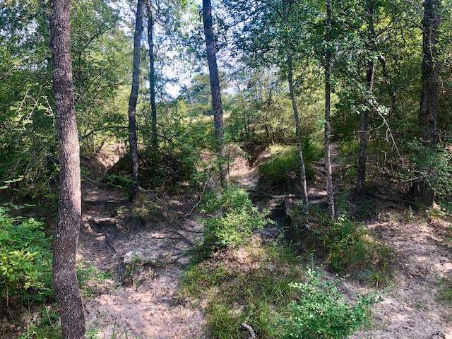 TBD County Road 120, Caldwell, TX 77836 - photo 4