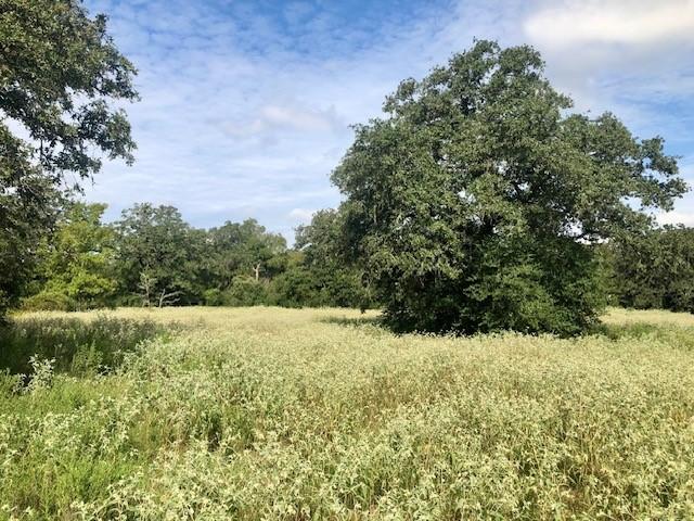 TBD County Road 120, Caldwell, TX 77836 - photo 5