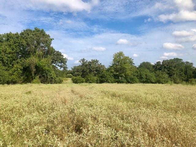 TBD County Road 120, Caldwell, TX 77836 - photo 6