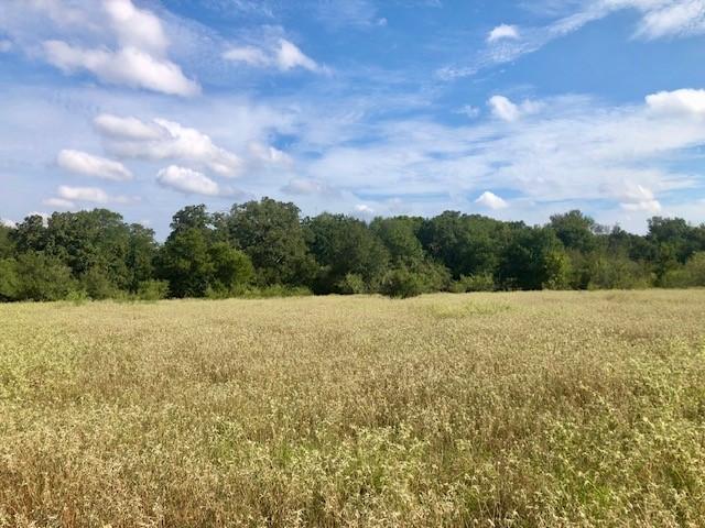 TBD County Road 120, Caldwell, TX 77836 - photo 7