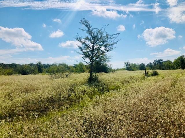 TBD County Road 120, Caldwell, TX 77836 - photo 8