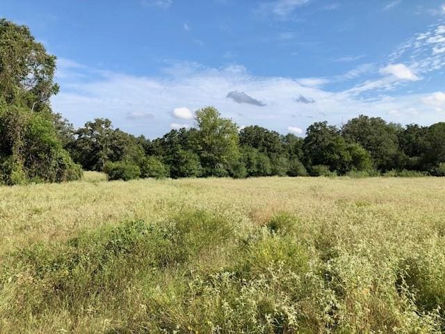 TBD County Road 120, Caldwell, TX 77836 - photo 12