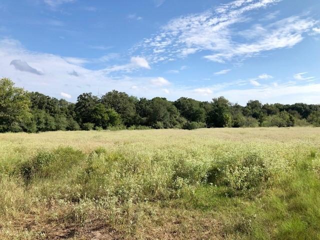 TBD County Road 120, Caldwell, TX 77836 - photo 13
