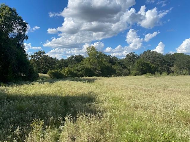 TBD County Road 120, Caldwell, TX 77836 - photo 14