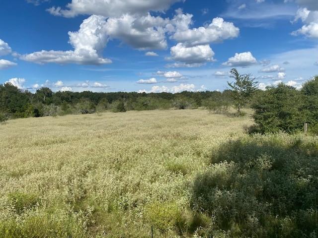 TBD County Road 120, Caldwell, TX 77836 - photo 15