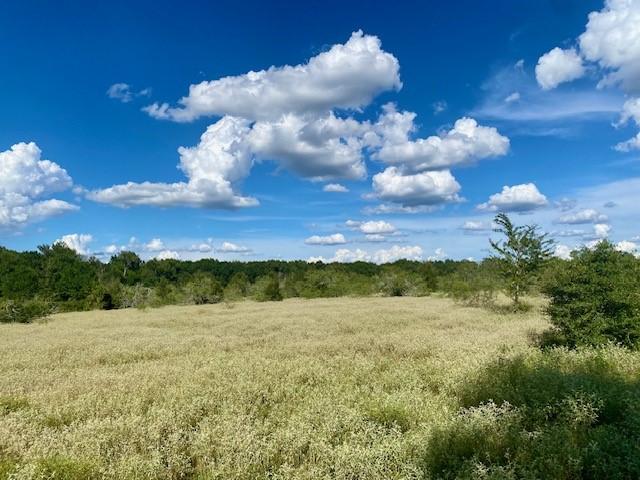 TBD County Road 120, Caldwell, TX 77836 - photo 16