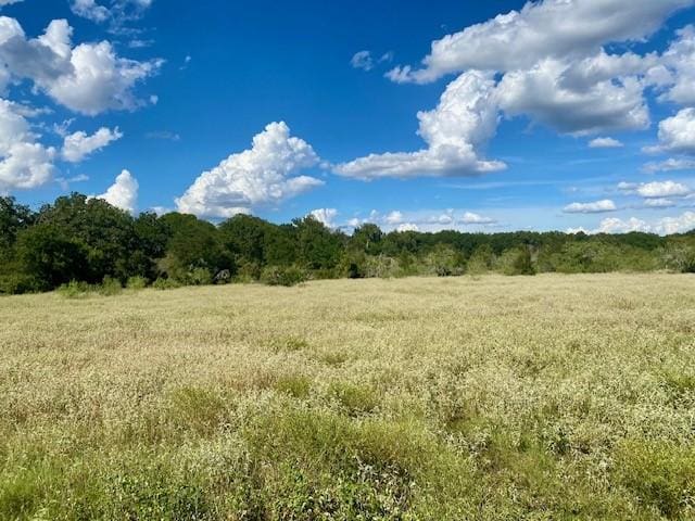 TBD County Road 120, Caldwell, TX 77836 - photo 17
