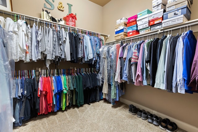 24119 Blue Crest Dr, Porter, TX 77365 - spacious closet with carpet floors