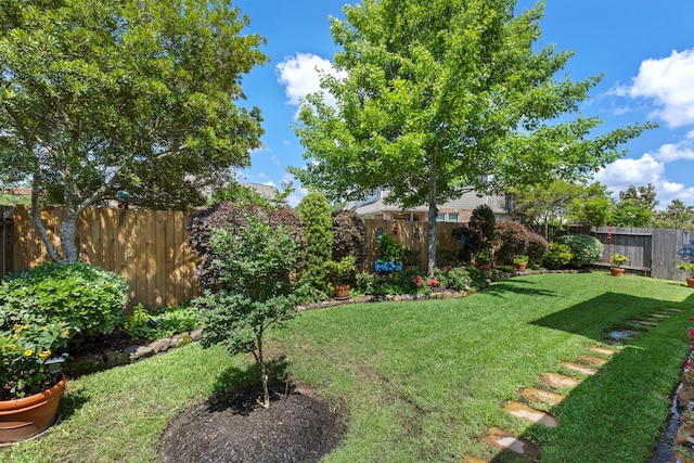 24119 Blue Crest Dr, Porter, TX 77365 - view of yard