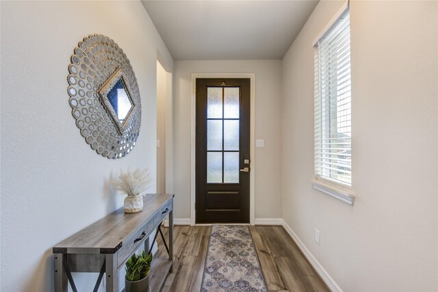 2432 Solaris Bend Dr, Katy, TX 77493 - doorway with plenty of natural light, wood finished floors, and baseboards
