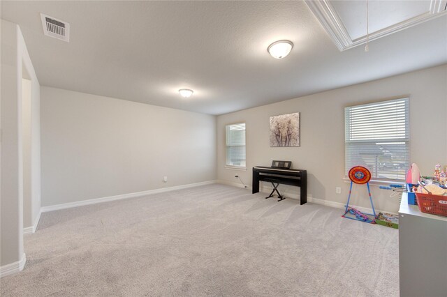 2432 Solaris Bend Dr, Katy, TX 77493 - recreation room with attic access, carpet, and baseboards