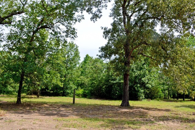 2182 Apache Dr, Montgomery, TX 77316 - photo 21