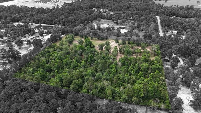 2182 Apache Dr, Montgomery, TX 77316 - photo 23
