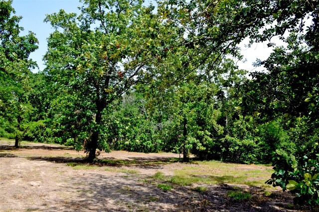 2182 Apache Dr, Montgomery, TX 77316 - photo 24