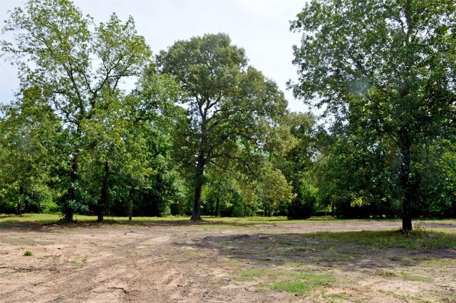 2182 Apache Dr, Montgomery, TX 77316 - photo 28