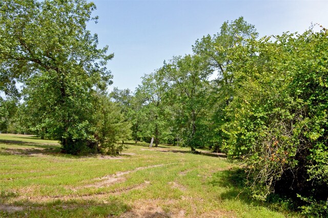 2182 Apache Dr, Montgomery, TX 77316 - photo 15