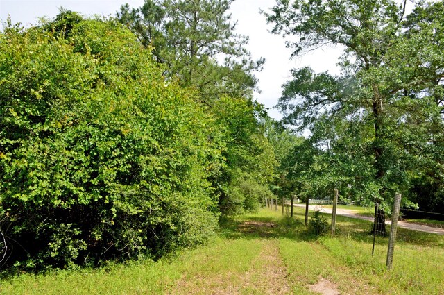 2182 Apache Dr, Montgomery, TX 77316 - photo 16