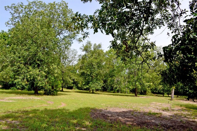 2182 Apache Dr, Montgomery, TX 77316 - photo 17