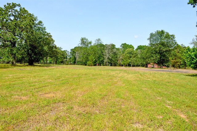 2182 Apache Dr, Montgomery, TX 77316 - photo 18