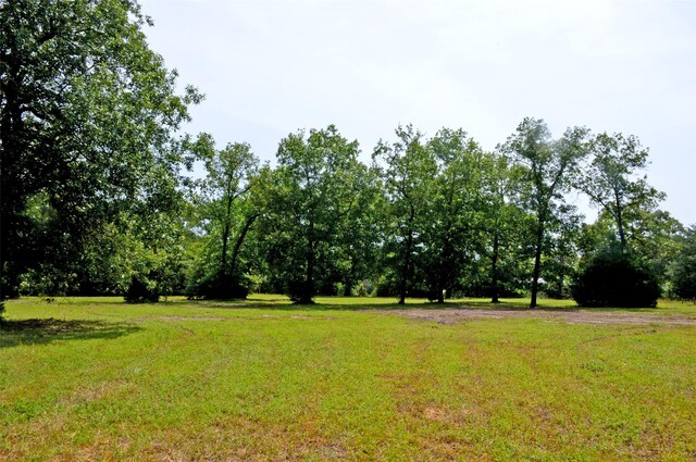 2182 Apache Dr, Montgomery, TX 77316 - photo 20