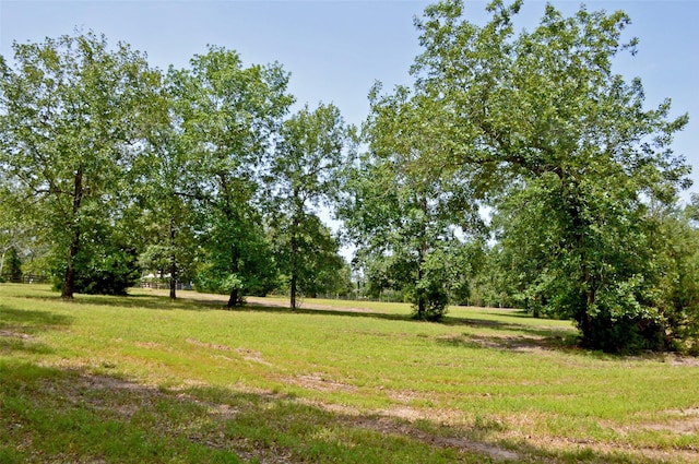 2182 Apache Dr, Montgomery, TX 77316 - photo 4