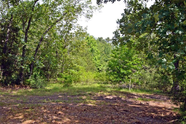 2182 Apache Dr, Montgomery, TX 77316 - photo 10