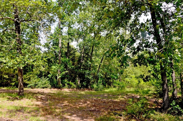 2182 Apache Dr, Montgomery, TX 77316 - photo 11
