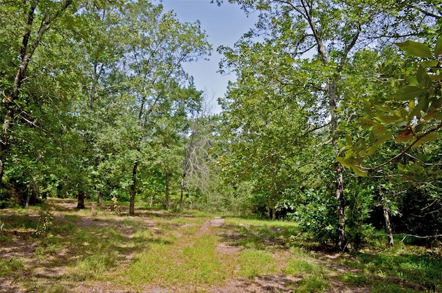 2182 Apache Dr, Montgomery, TX 77316 - photo 12