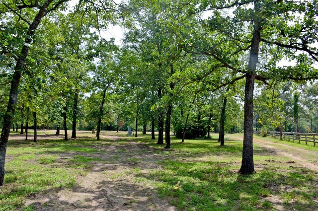 2182 Apache Dr, Montgomery, TX 77316 - photo 13