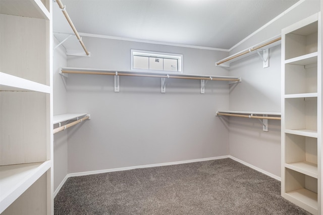 305-335 Omalley Rd, Brenham, TX 77833 - walk in closet with carpet floors