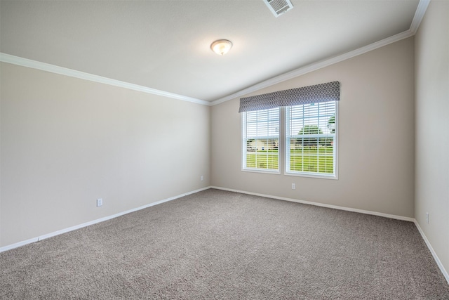 305-335 Omalley Rd, Brenham, TX 77833 - unfurnished room featuring crown molding, carpet, and baseboards