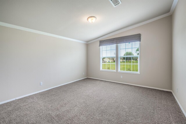 305-335 Omalley Rd, Brenham, TX 77833 - unfurnished room with crown molding, carpet, and baseboards