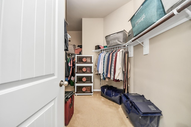 13906 Mowbray Ct, Richmond, TX 77407 - walk in closet featuring light colored carpet