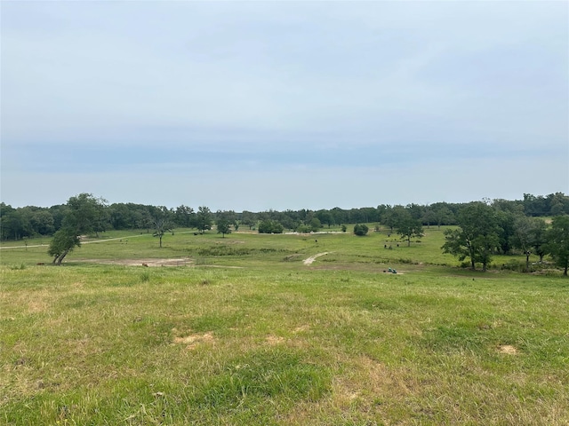 9289 County Road 329, Buffalo, TX 75831 - photo 3