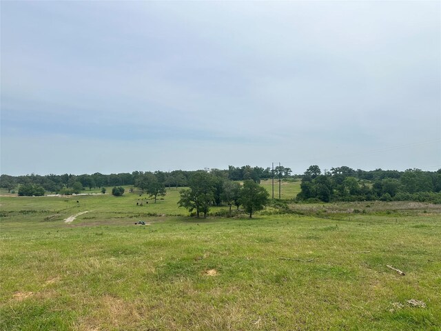 9289 County Road 329, Buffalo, TX 75831 - photo 4