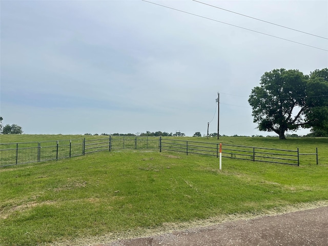 9289 County Road 329, Buffalo, TX 75831 - photo 5