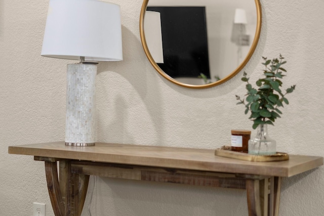 28987 Birch Green Way, Spring, TX 77386 - detailed view of a textured wall